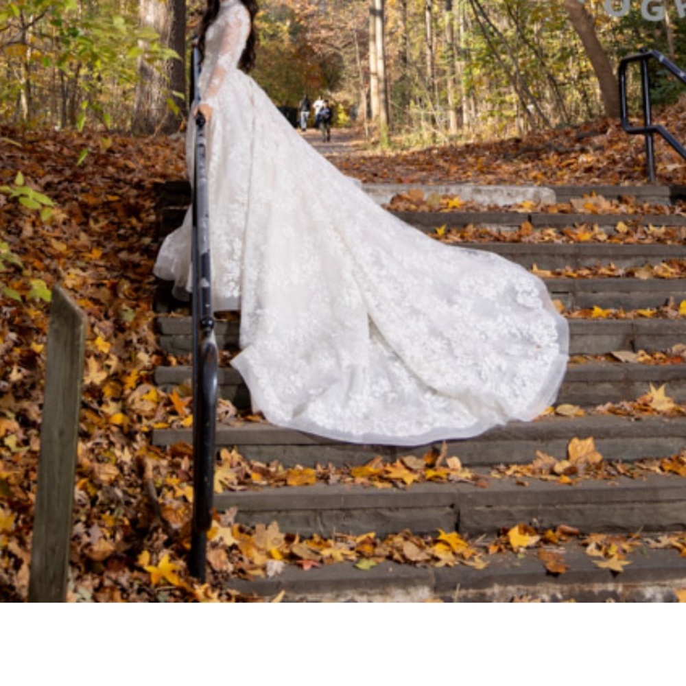 Ines de santo wedding gown size 4 stunning built up open back